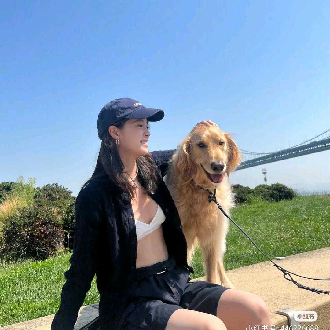 翻斗花园胡图图.