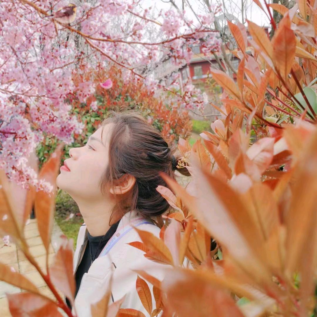 成成麻麻
