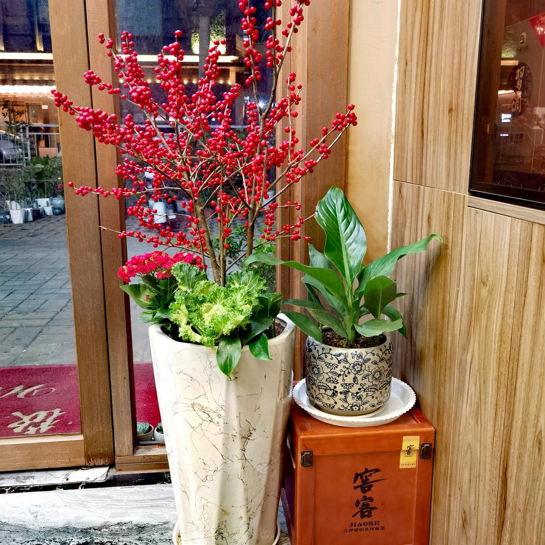 静心茶舍。俊哥