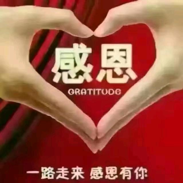 多米姐