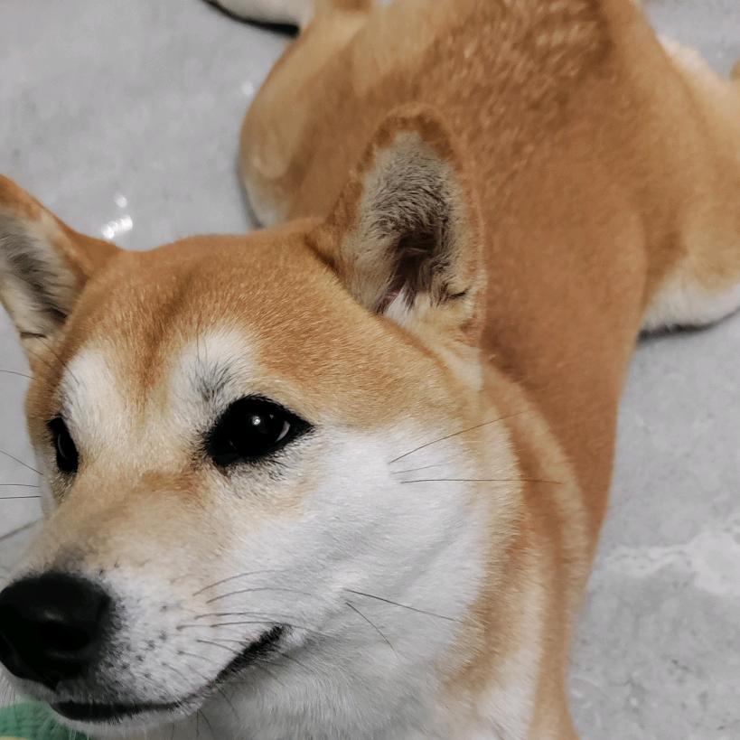 翠花女主人