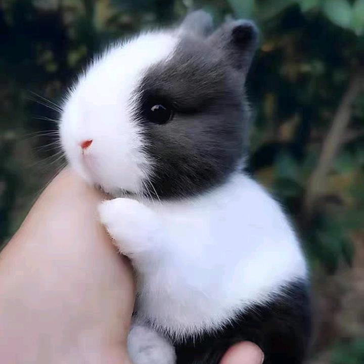 小锦李💗💗💗