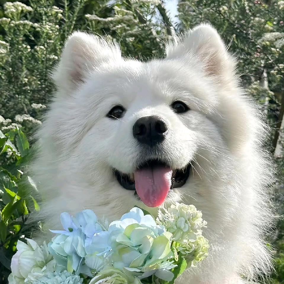 小刘的朋友圈🍓