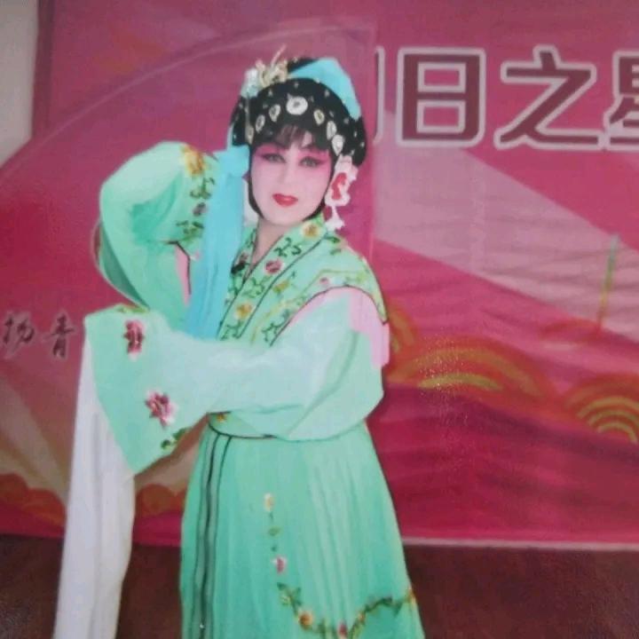 淮剧迷