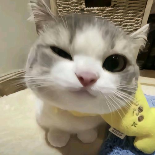 贝贝贝贝贝贝
