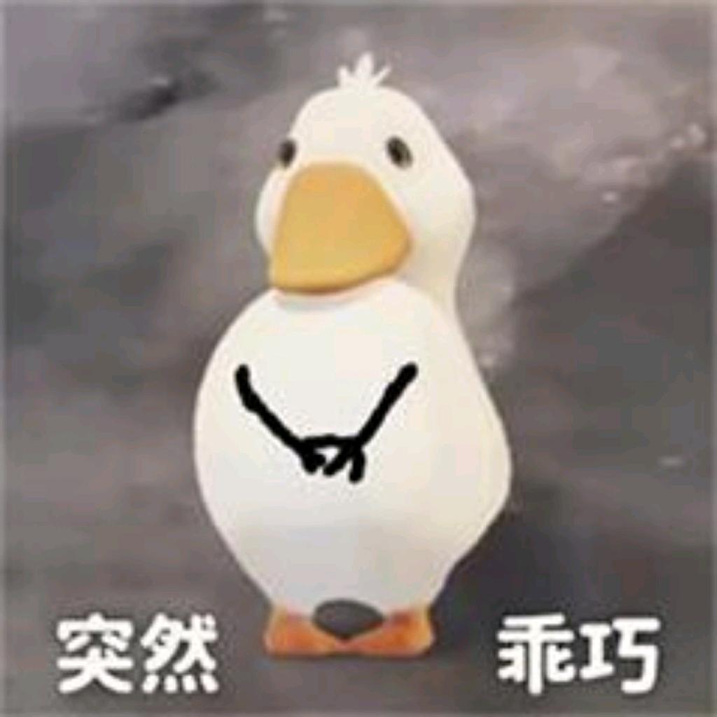 月筱猪