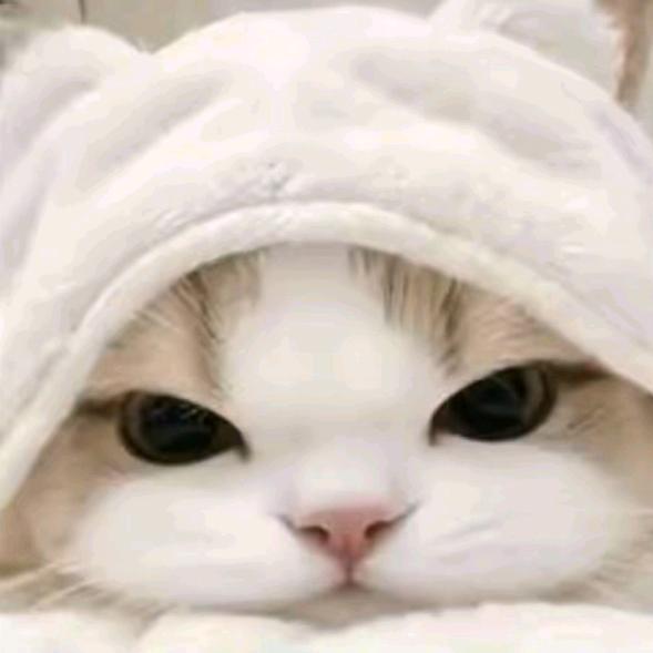 吃醋
