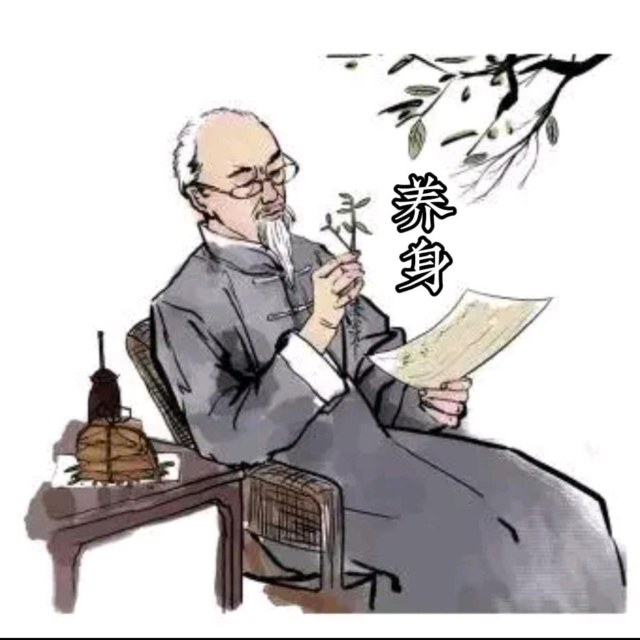 本草养身