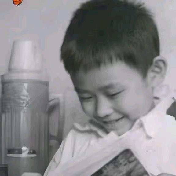 森林幼儿园有限公司