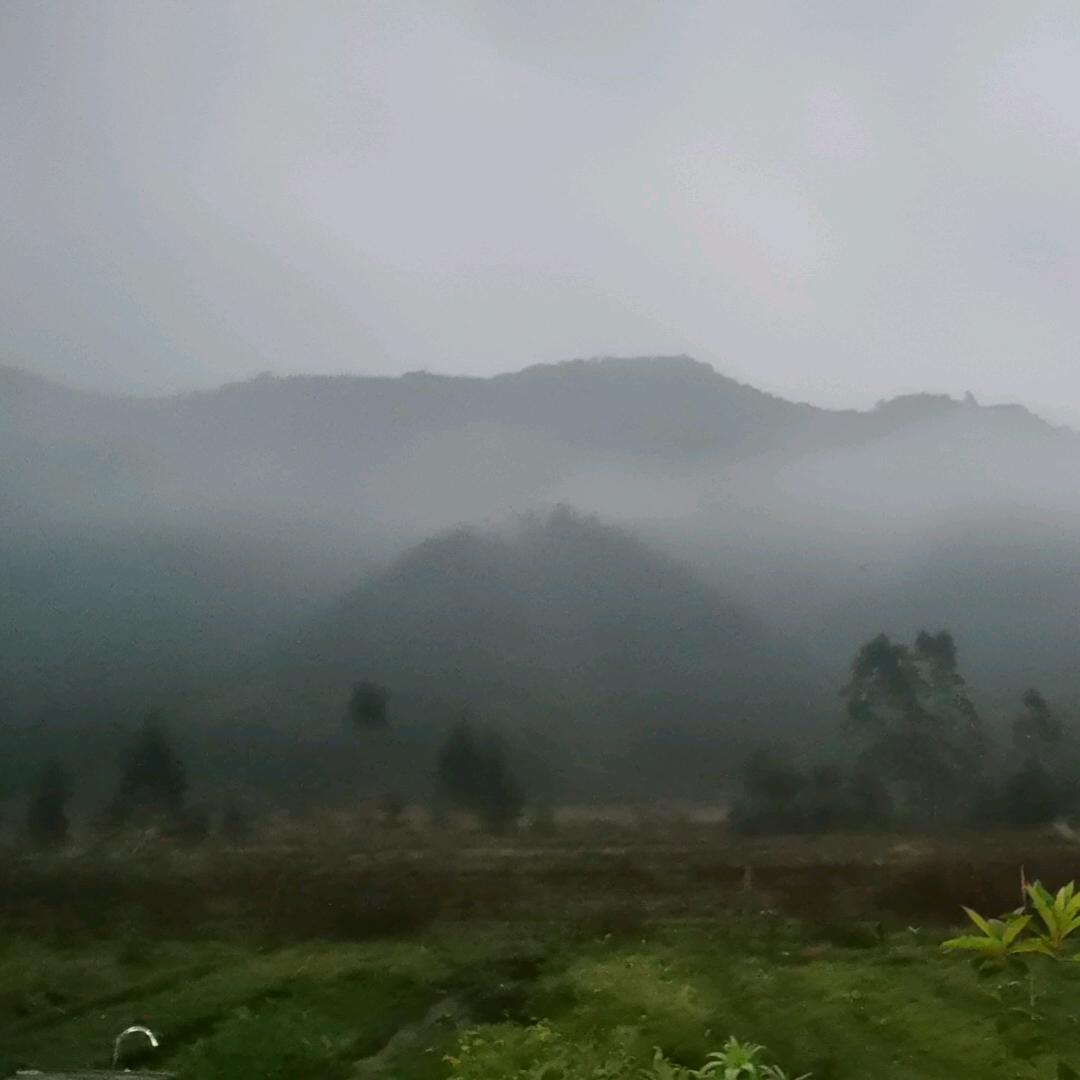 海伦丝(Helens)