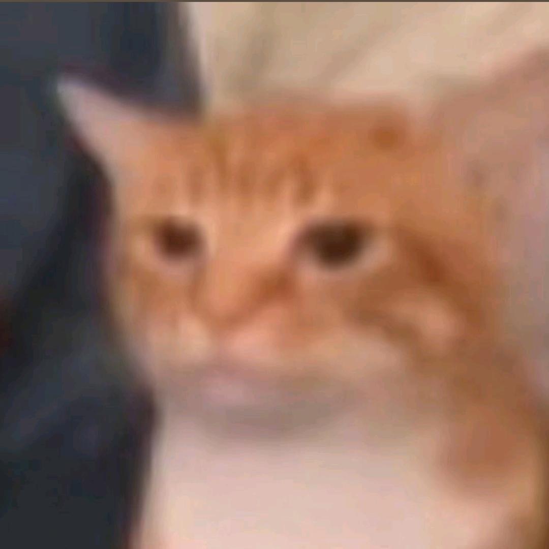 二十