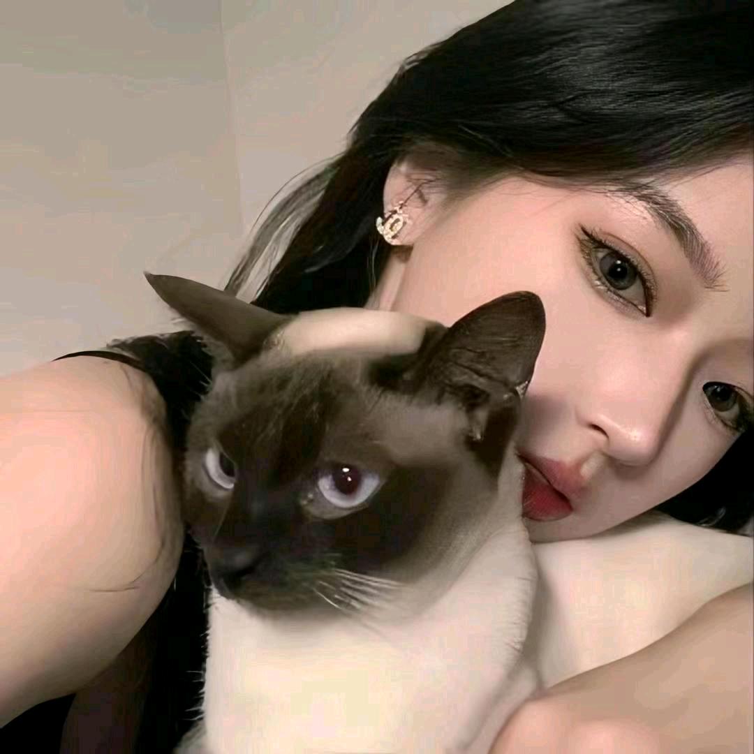 羽琴儿