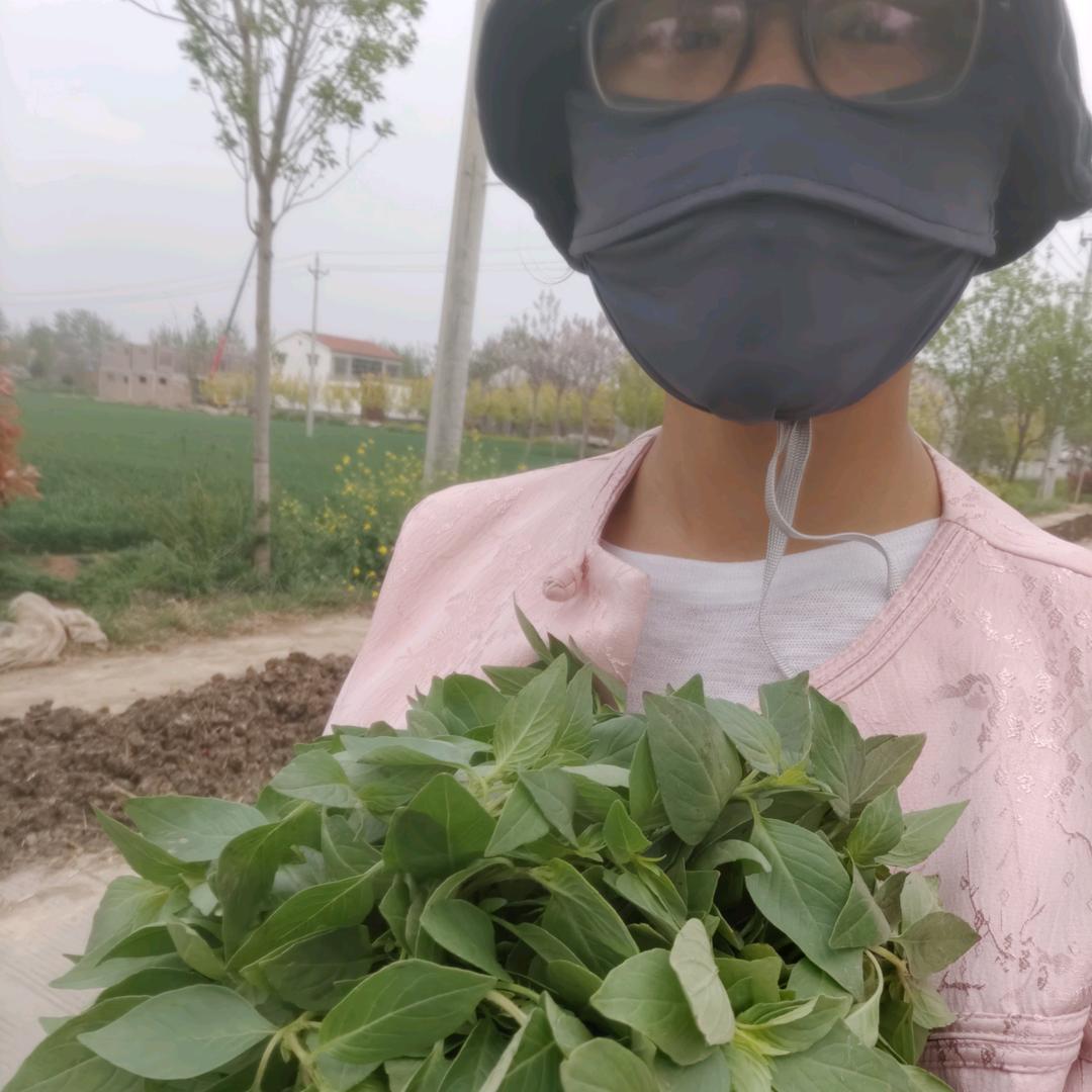 熏熏