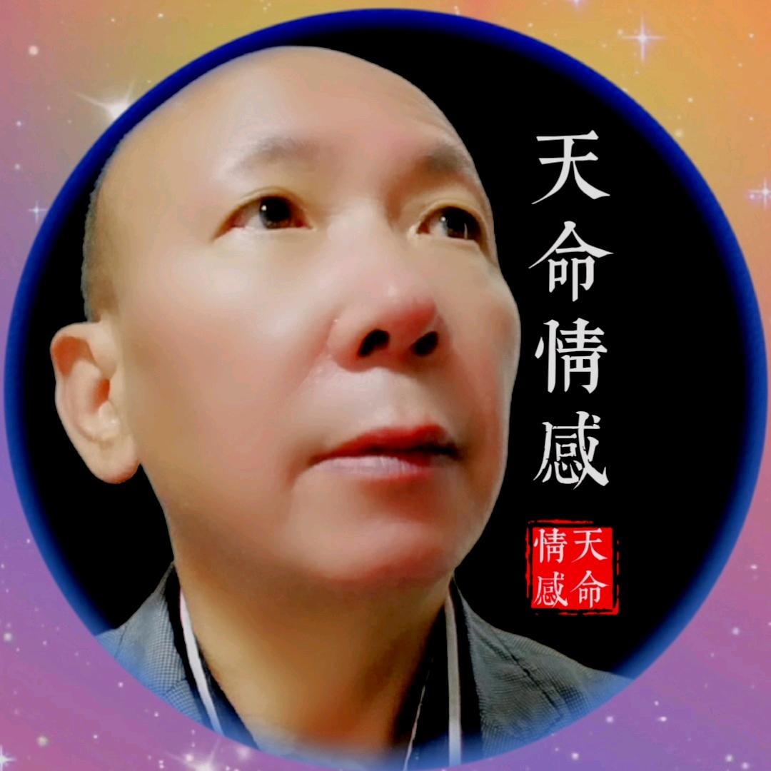 天命情感