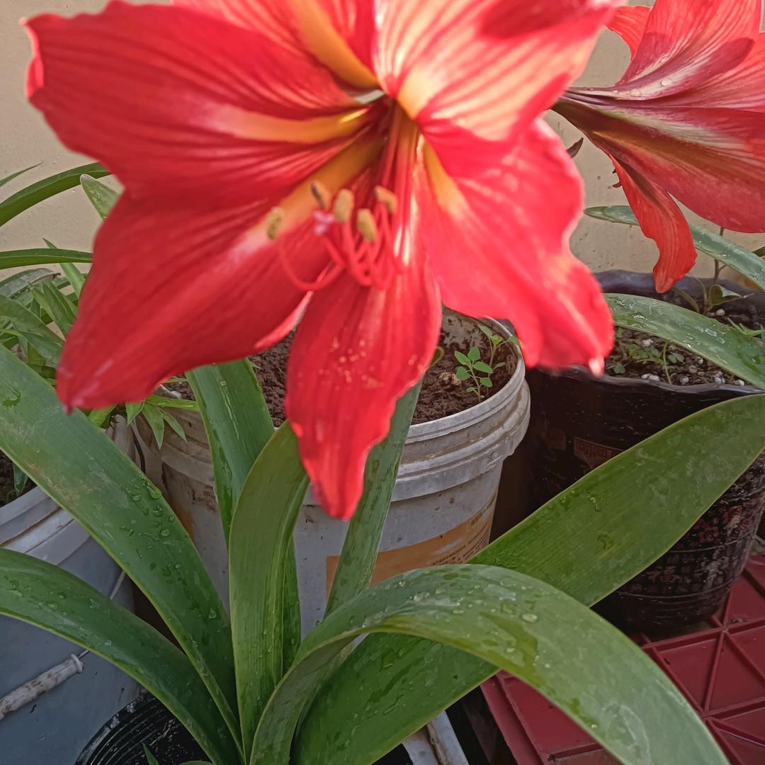 永不忘：用户422798581463