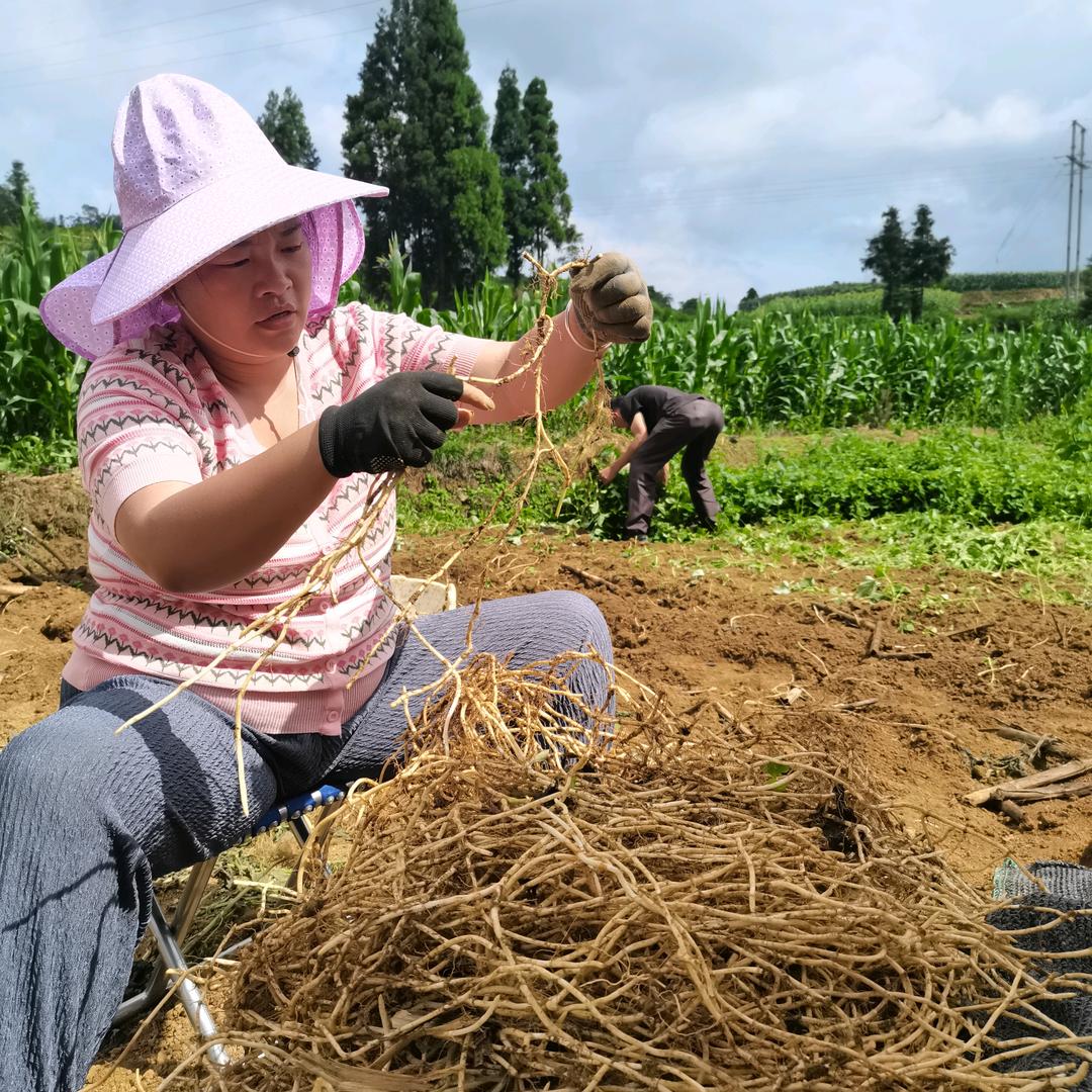 咸鱼哥大脸妹土特产