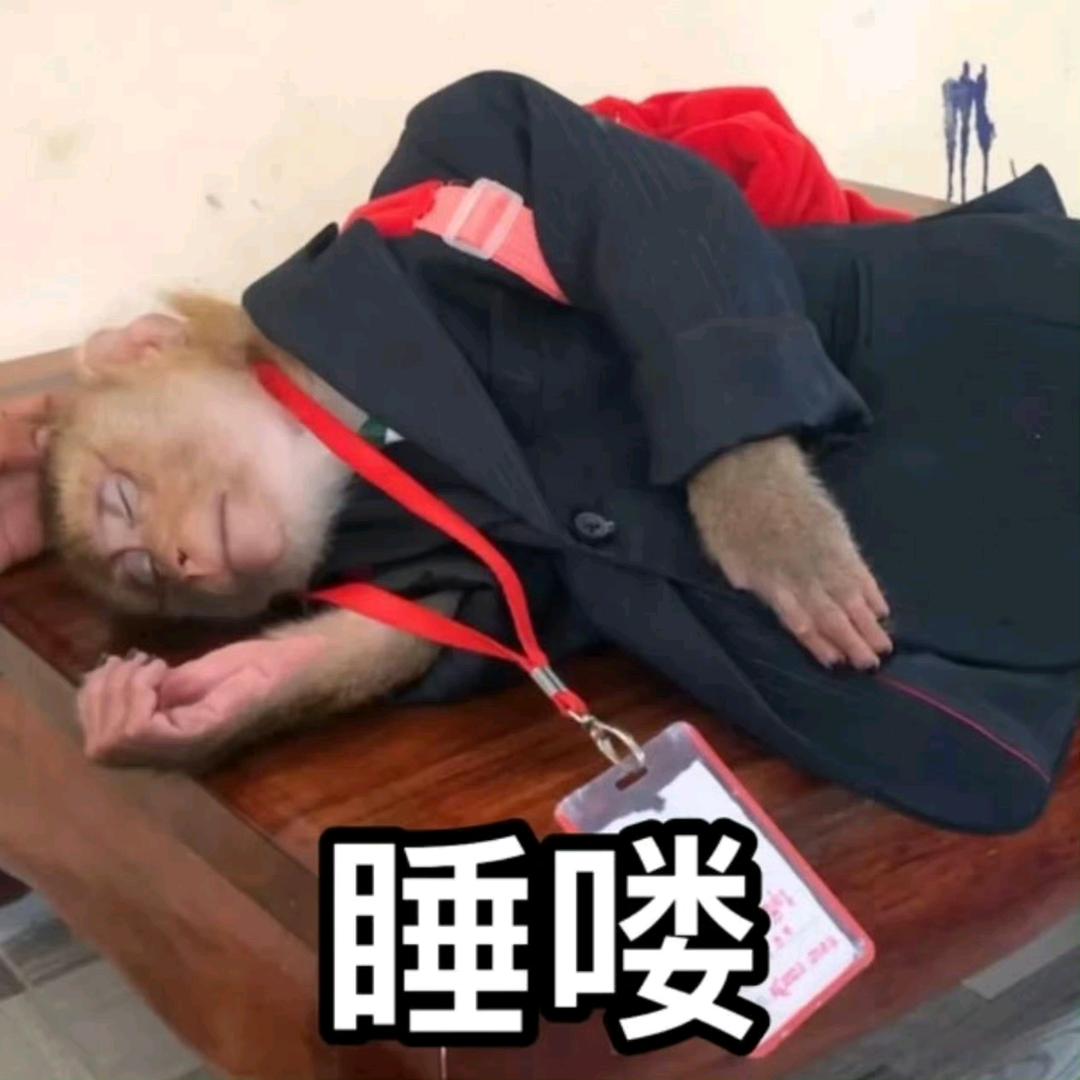 别送了