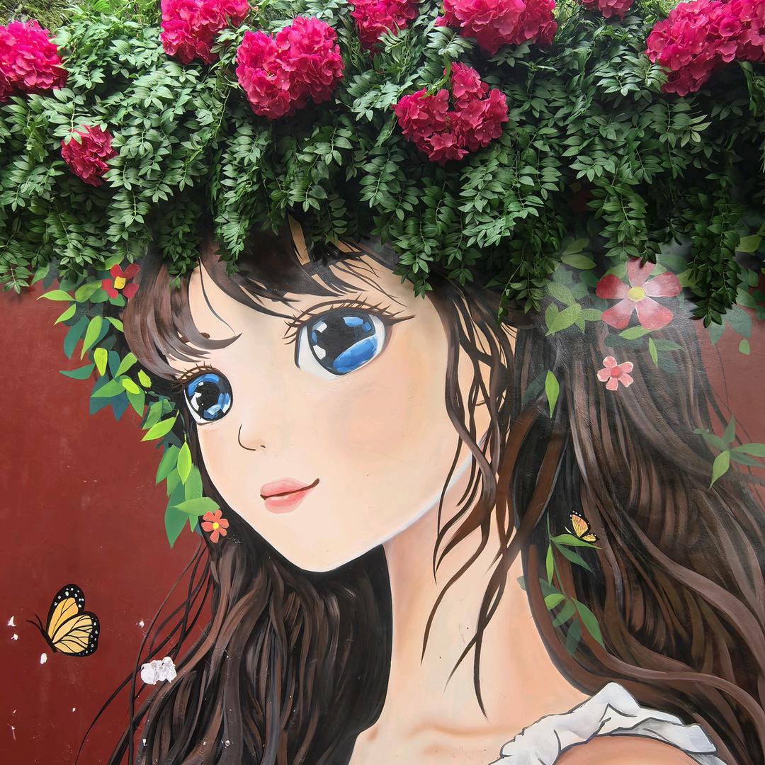 是兔子总会发光的$$