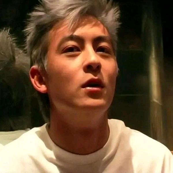 上什么树