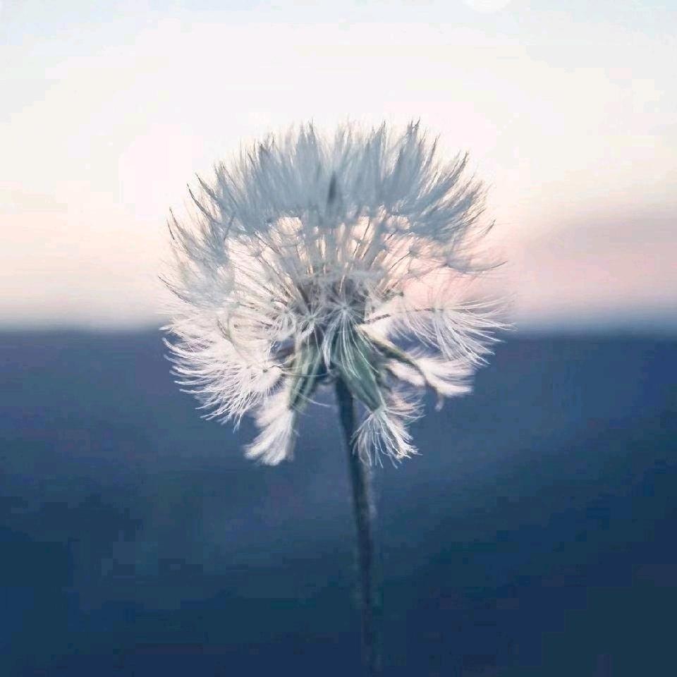 翁