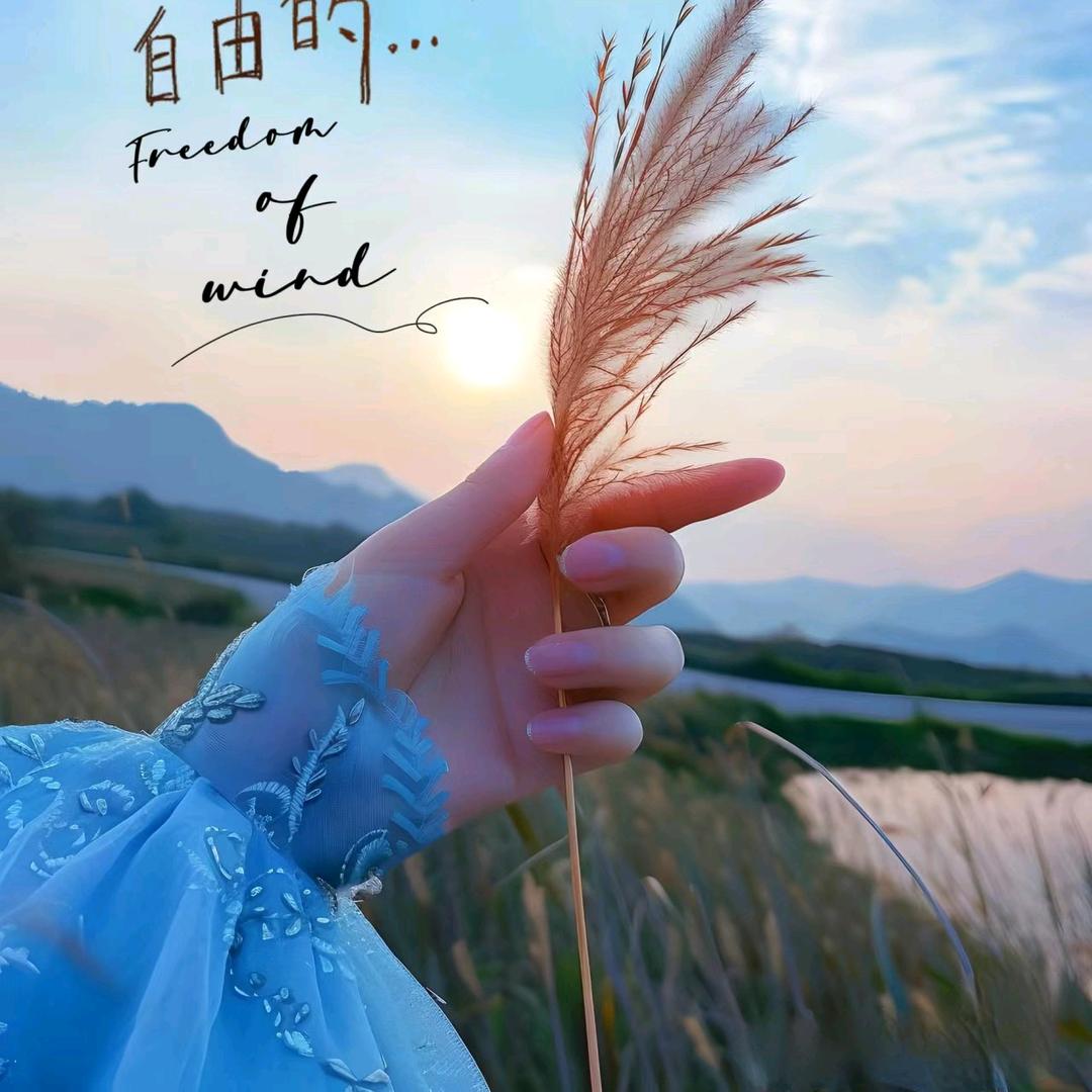 小🤗敏敏