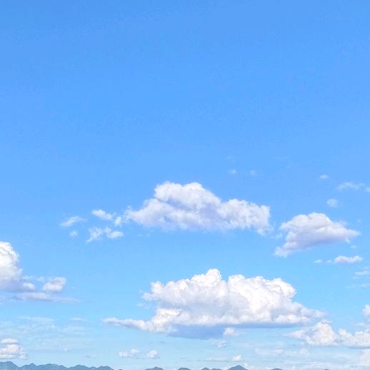 🍀     蔷薇女孩