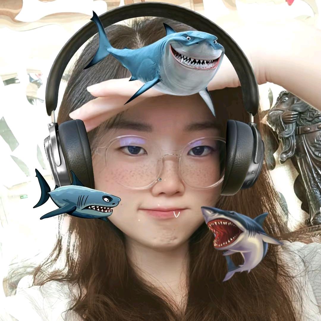 孤独的小菜鸟🙃