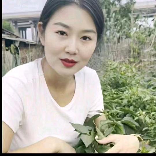 欣鑫优选