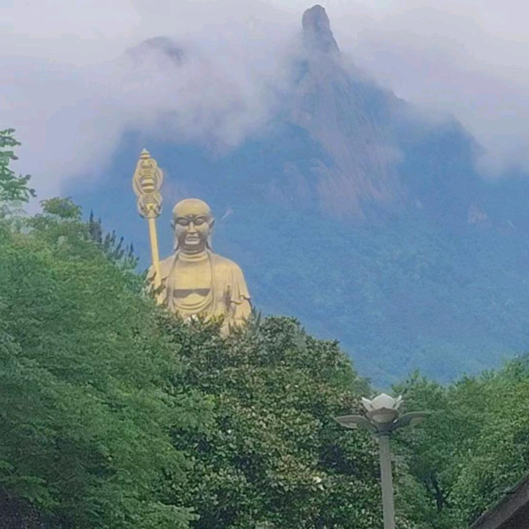 风过无声