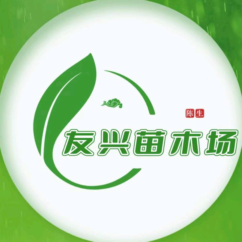 友兴苗木五指毛桃苗