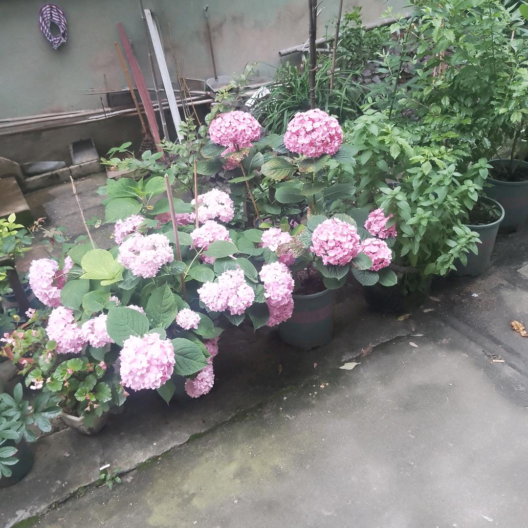 不怕苦，坚持的走下去