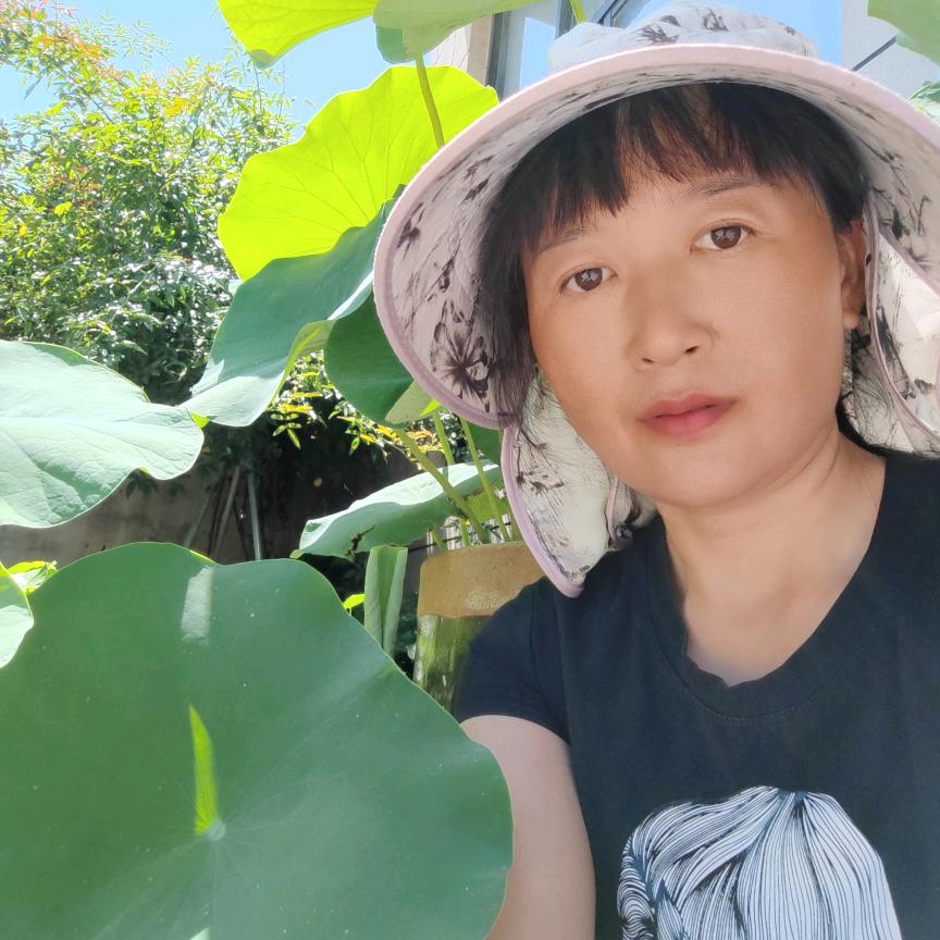 农村小院子