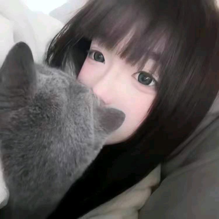 麦多多数码