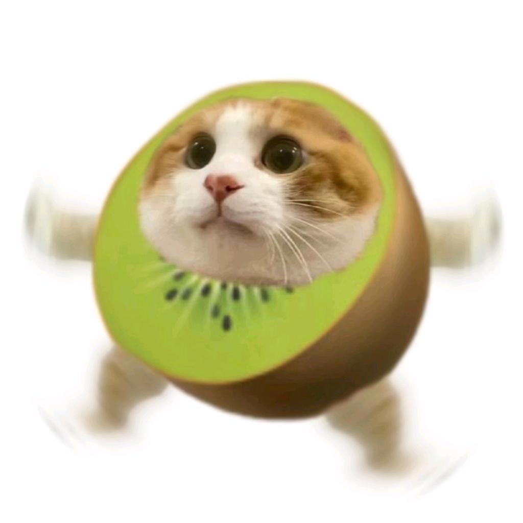 𝑸𝒀𝑫𝑿𝑮𝑮🥝
