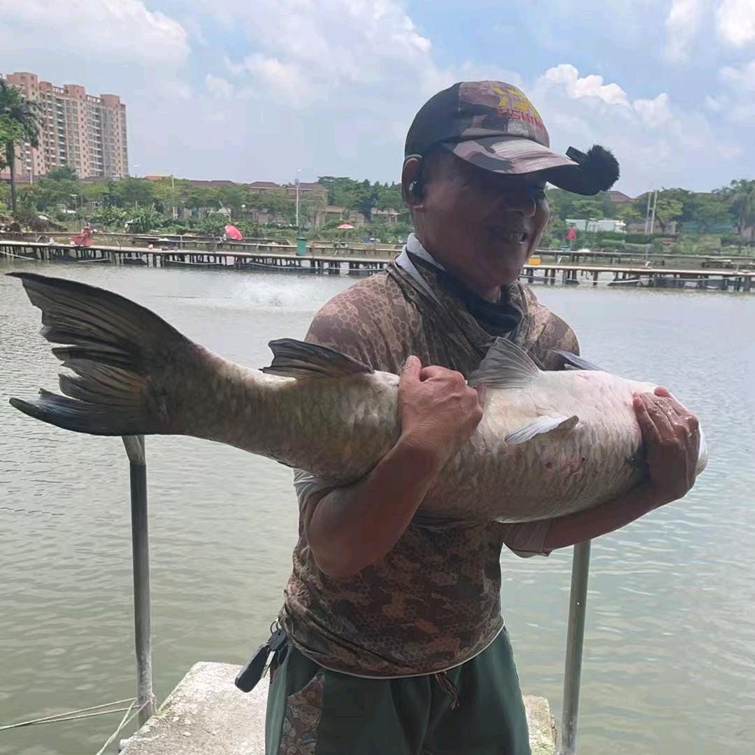 拔青小佬六
