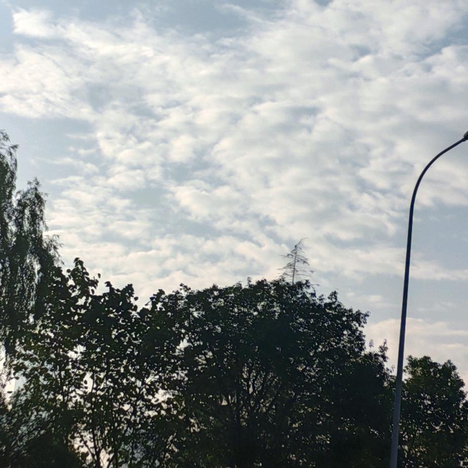 龙哈哈