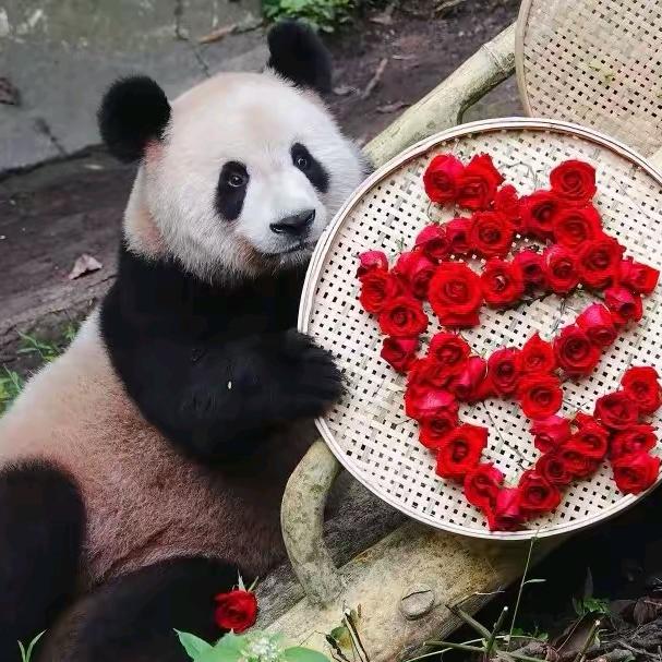 果力C