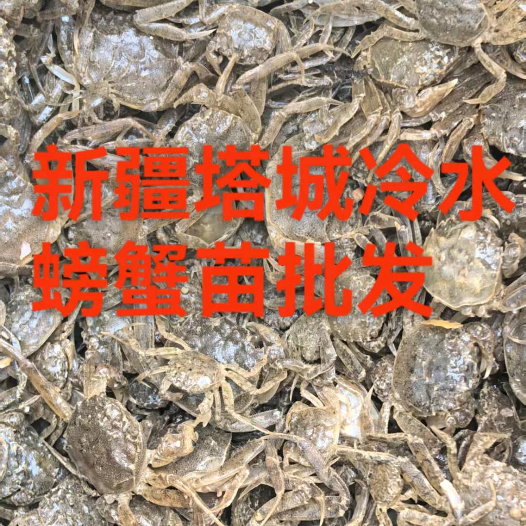 新疆塔城瑞丰家庭农场