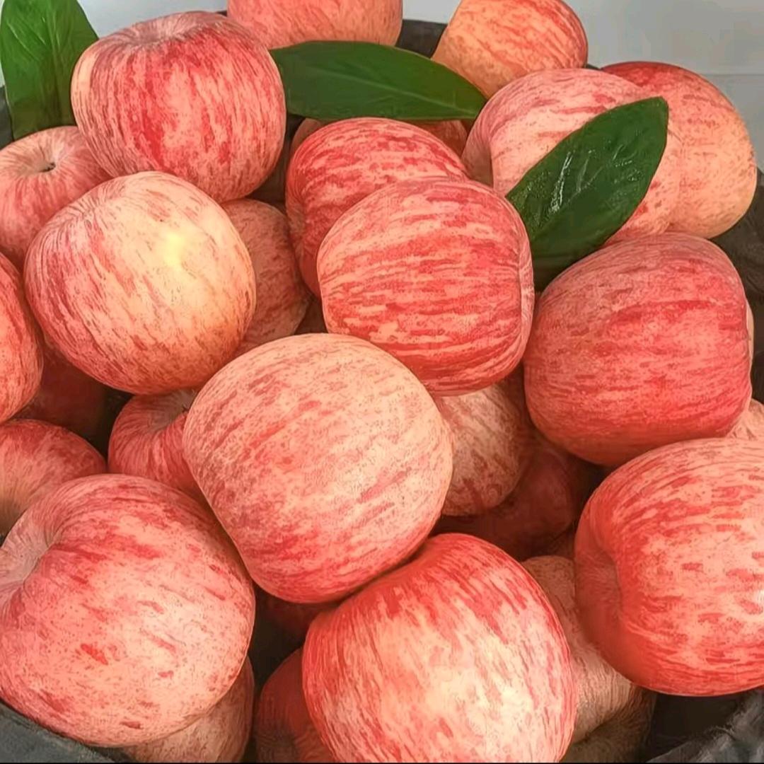 熙锦农产品甄选