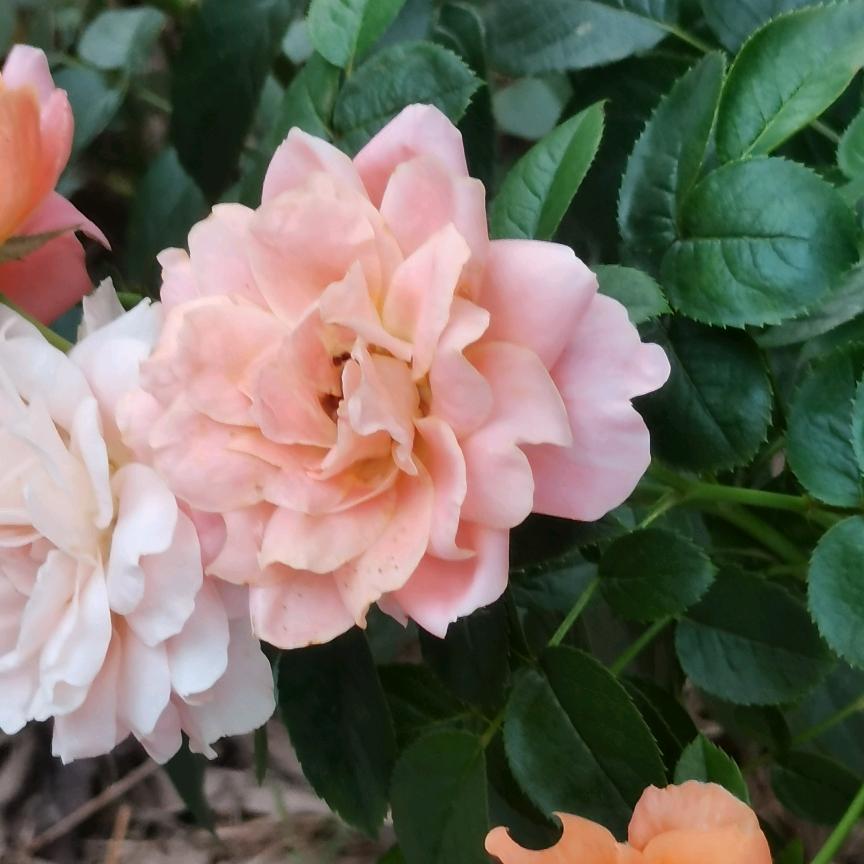 用户过好每一天