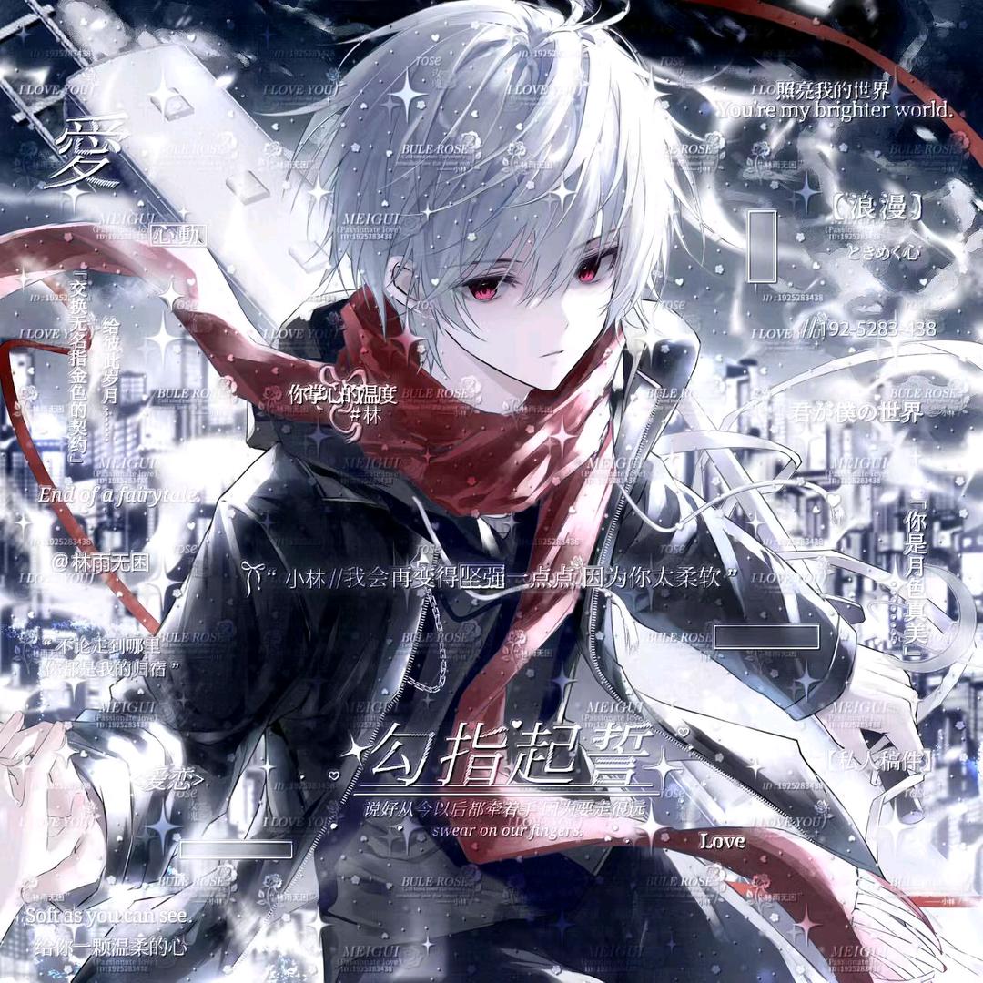 三只猫吃两袋猫耳朵