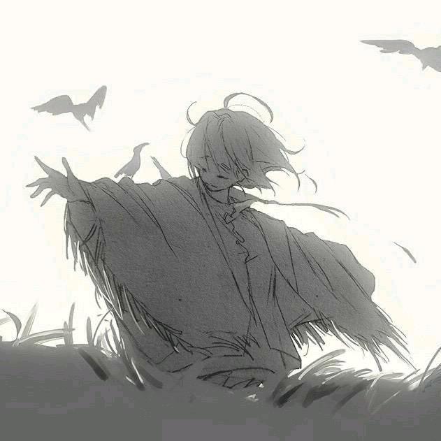 暴躁小timo