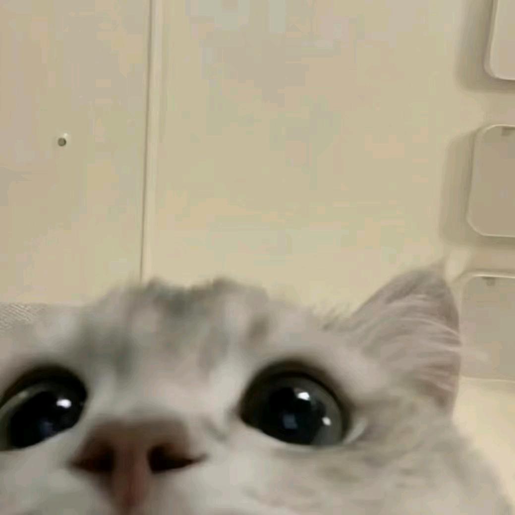 如果声音还记得