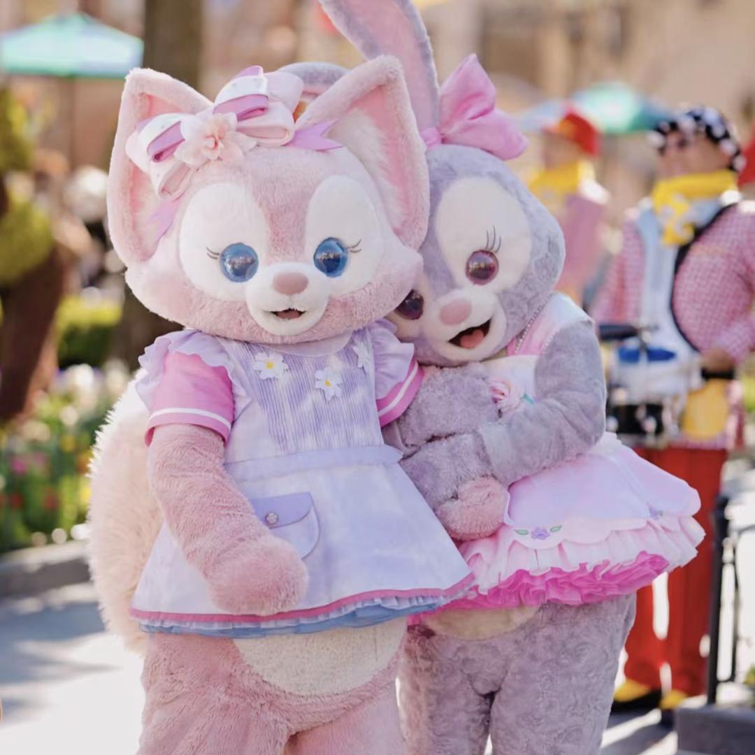 笼养蛋鸭-永州漓源小蒋