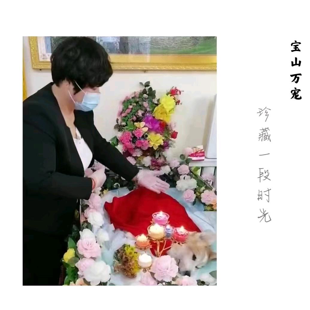宝山万宠宠物善后服务