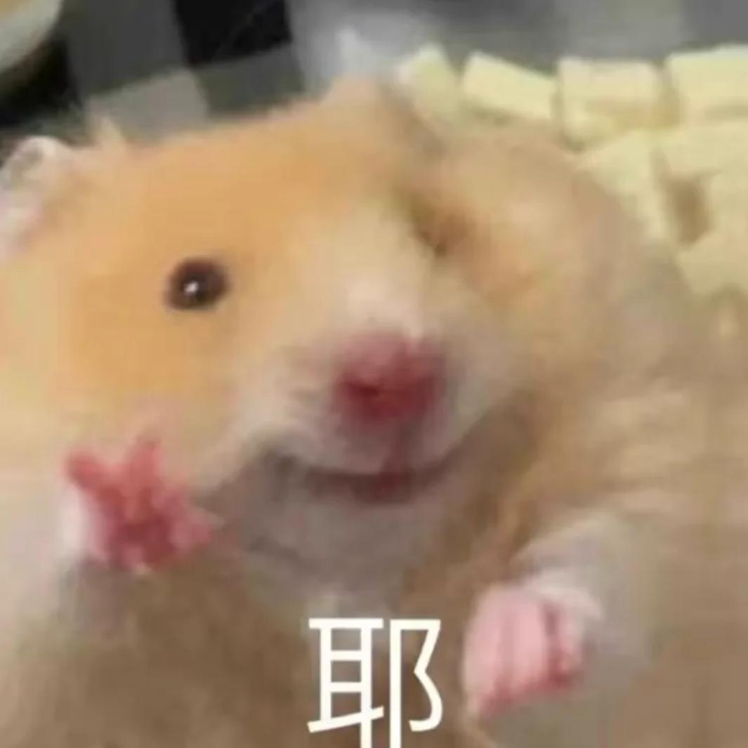 合欢杨梅