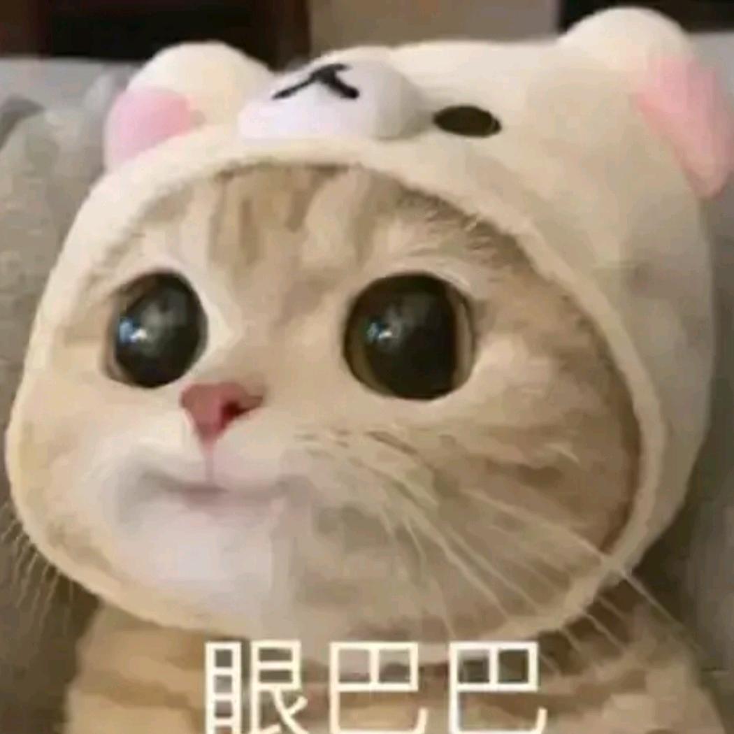 雾岛与风声γ