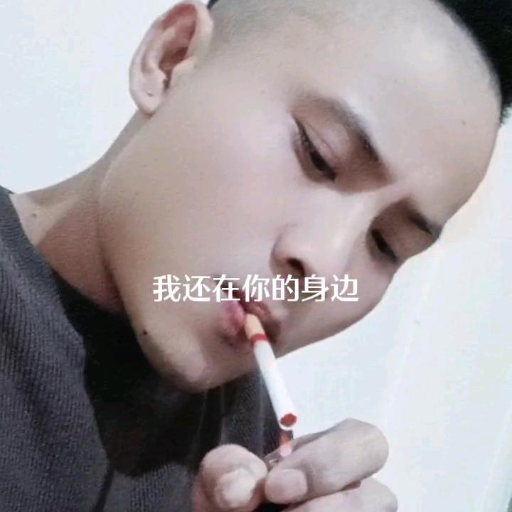一叶知秋君莫笑