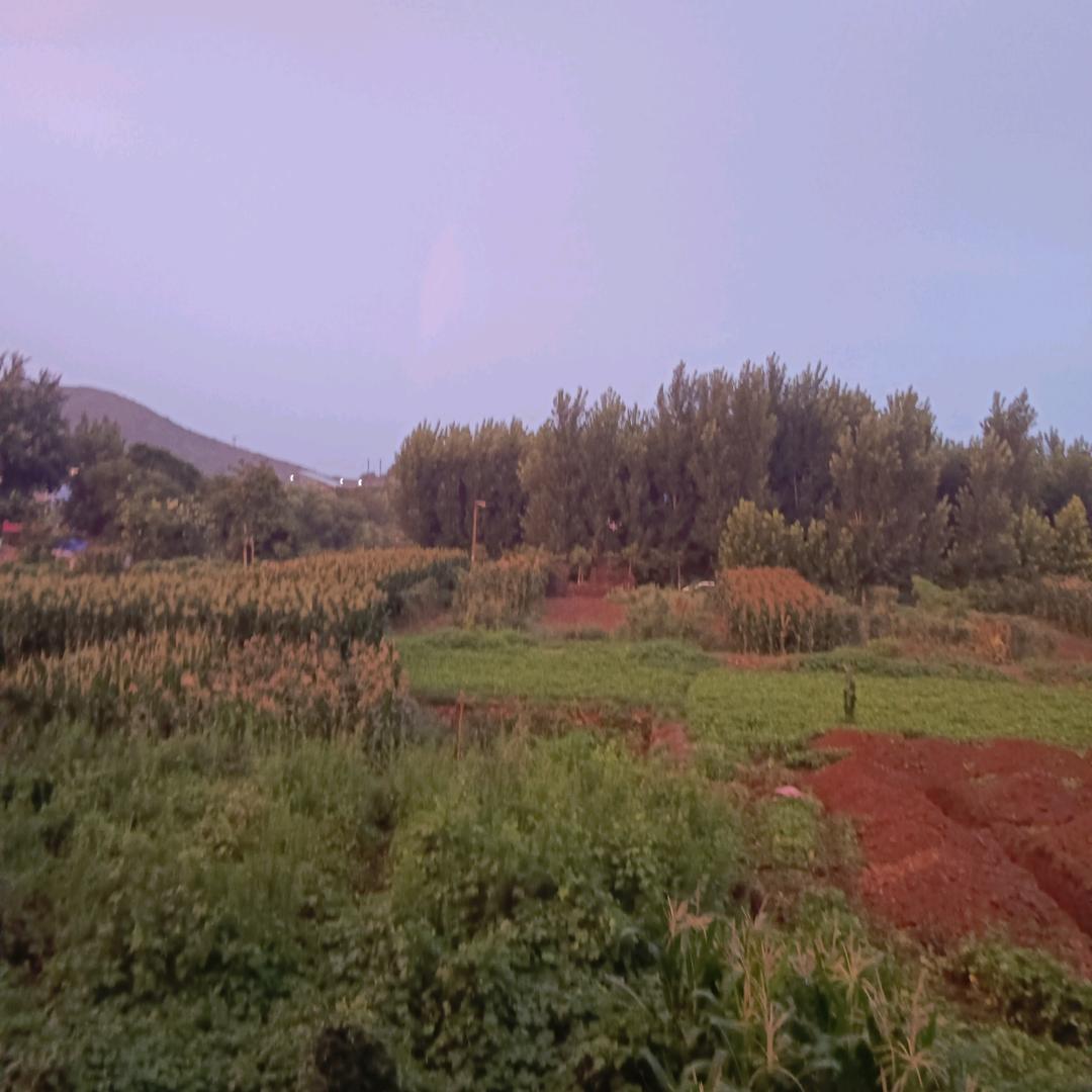 勇哥🌱