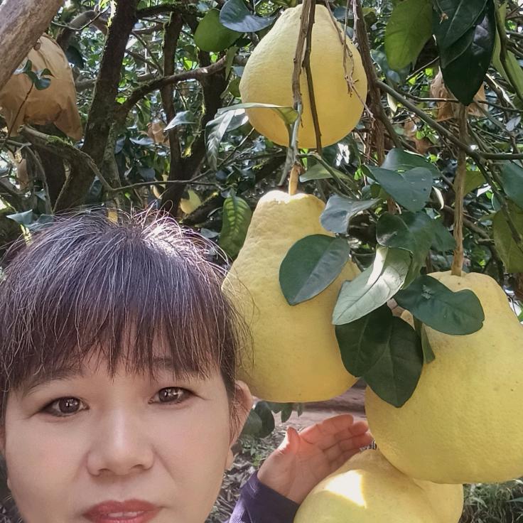 张妹